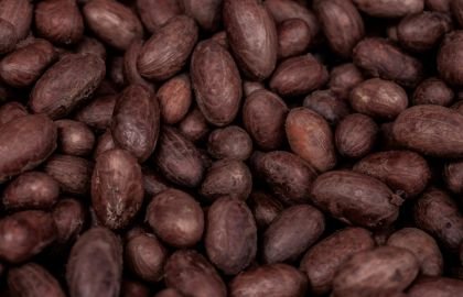 cocoa